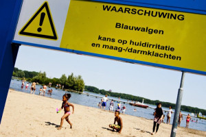 Structurele aanpak voor blauwalg Kralingse Plas!