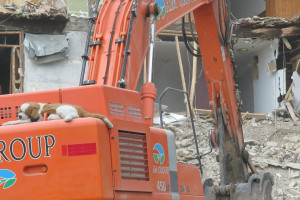 Heropbouw Schammenkamp: eindelijk van start